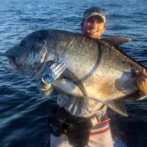 Meet your Posher, Gavin